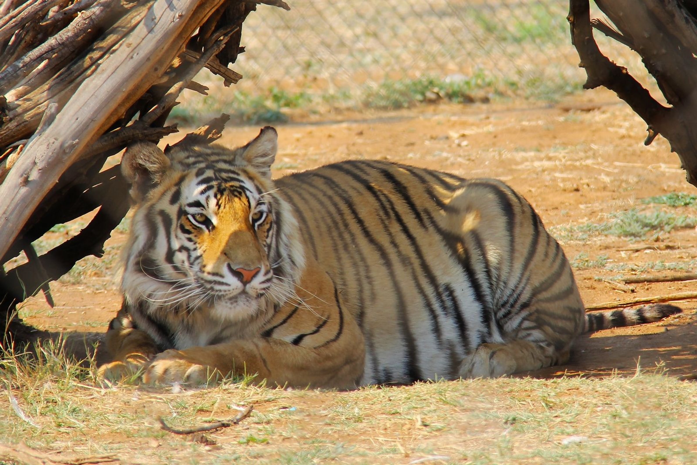 Spectacular South Africa – 10 Days